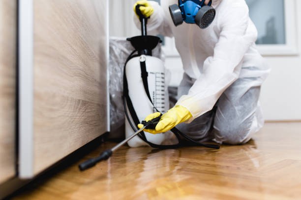 Best Mosquito Control Services  in University Of Lifornia Santa Barbara, CA