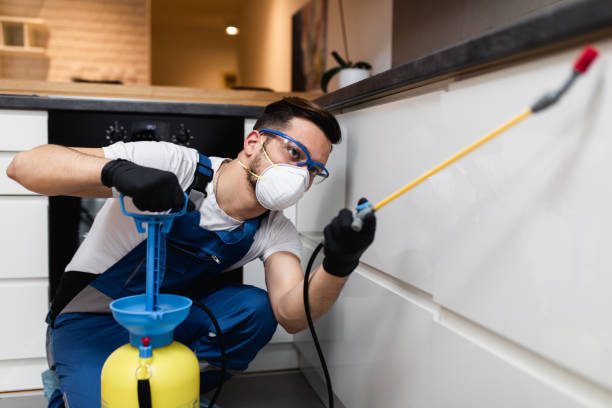 Best Flea Control Services  in University Of Lifornia Santa Barbara, CA
