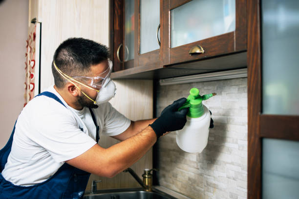 Best Affordable Pest Control Services  in University Of Lifornia Santa Barbara, CA