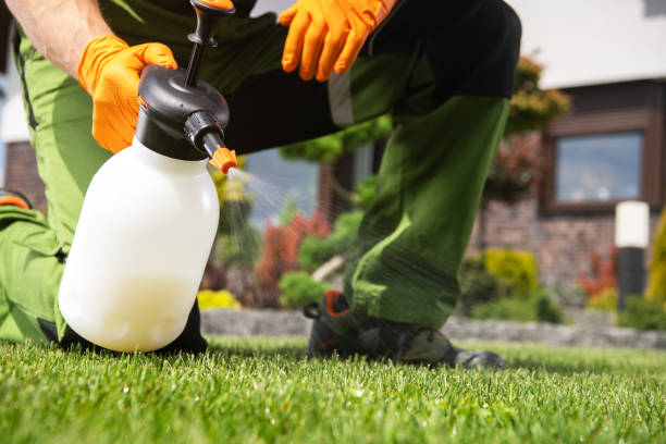 Pest Control for Restaurants in University Of California Santa Barbara, CA