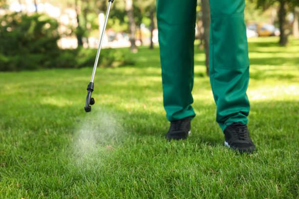 Best Termite Control Services  in University Of Lifornia Santa Barbara, CA
