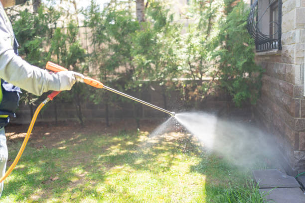 Best Pest Control Near Me  in University Of Lifornia Santa Barbara, CA
