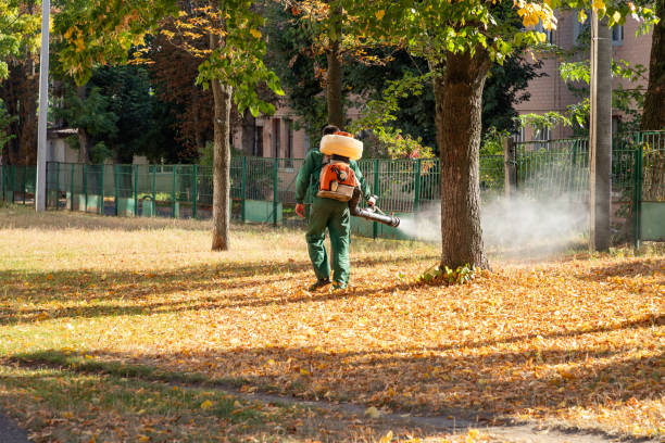 Reliable University Of California Santa Barbara, CA Pest Control Solutions