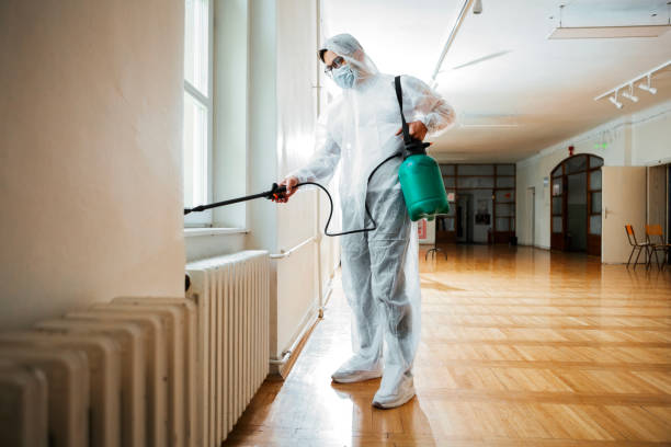 Best Flea Control Services  in University Of Lifornia Santa Barbara, CA