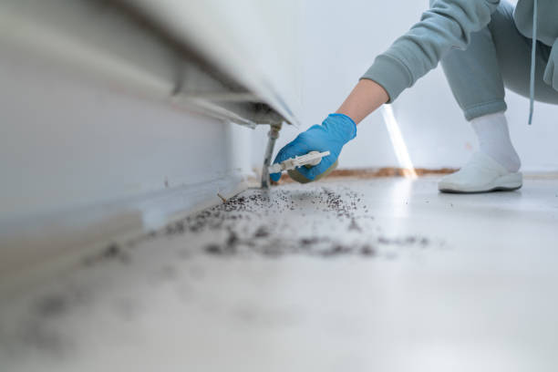 Best Bed Bug Extermination  in University Of Lifornia Santa Barbara, CA